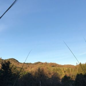 Meet your Posher, Dylan